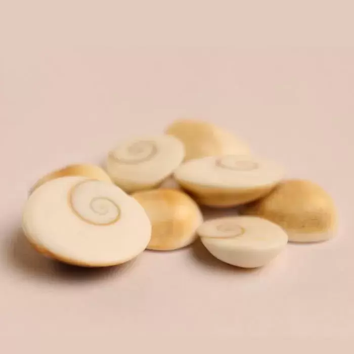 Gomti Chakra 50 Grams0